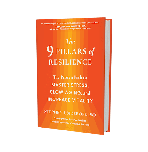 9 Pillars Of Resilience Book By Stephen Sideroff Phd Hardcover