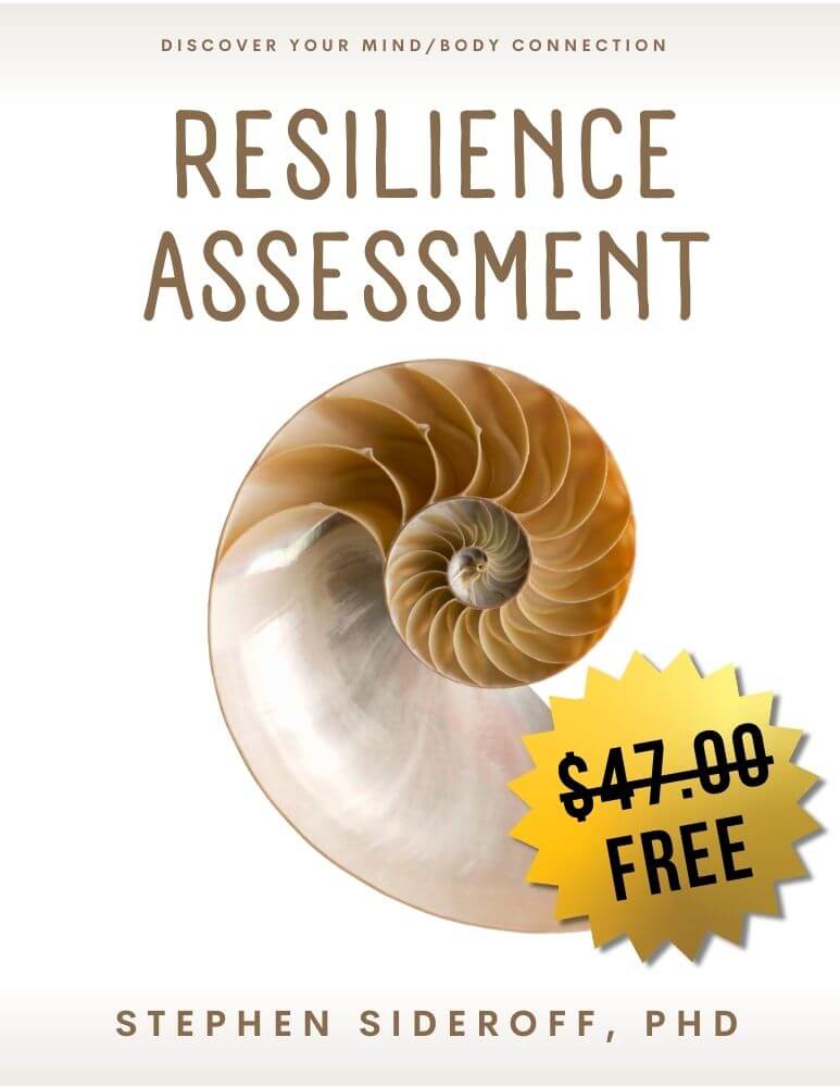 Resilience Assessment 2024.pdf